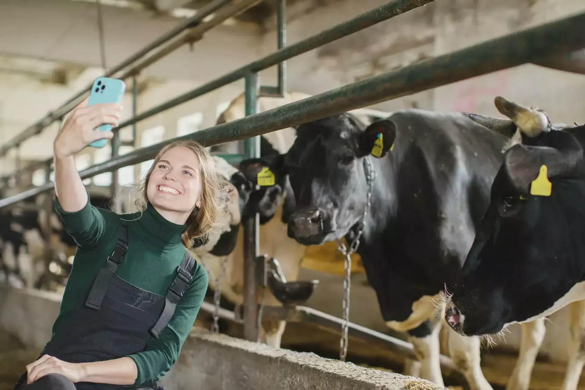 Een vrouw maakt een selfie met koeien in een stal.